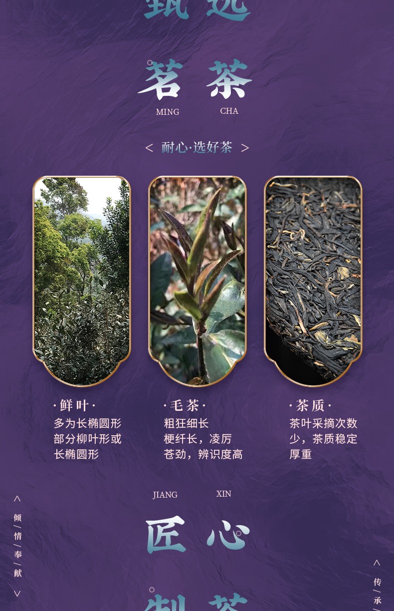 云南干仓存储2017年紫为贵357g勐海紫鹃茶普洱生茶中老期茶茶业