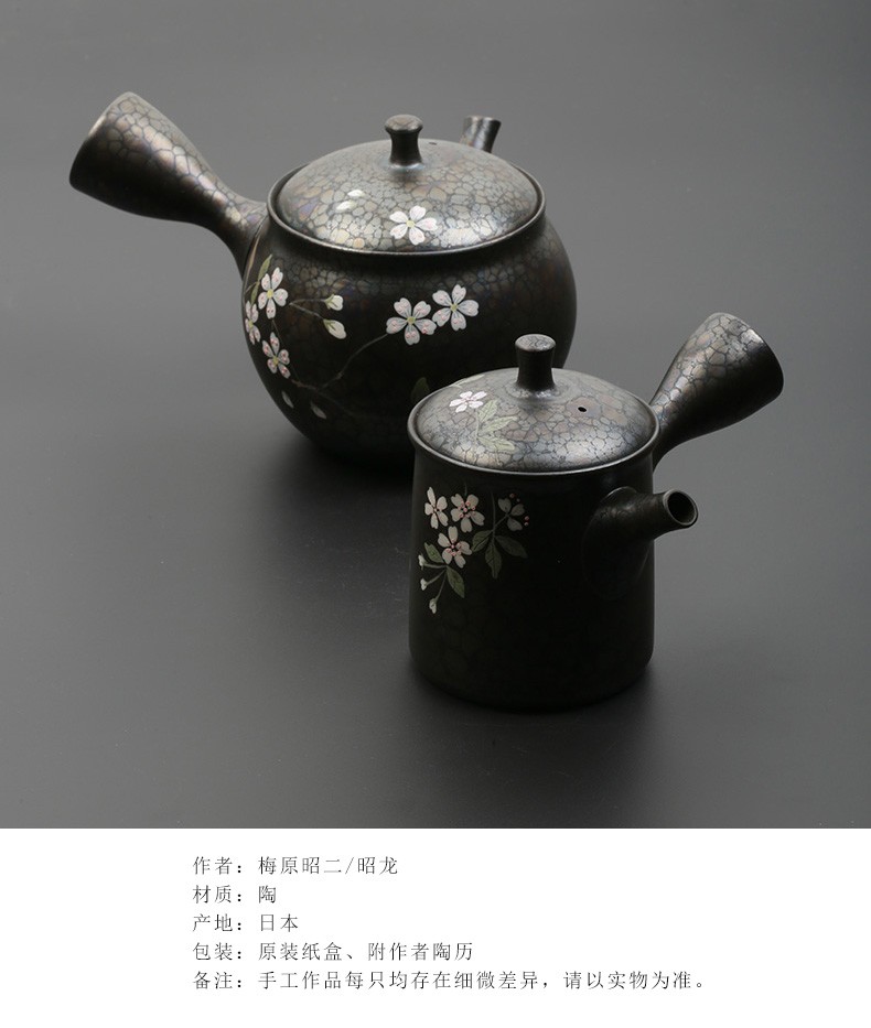 乙御前日本进口茶具常滑烧天目釉茶壶过滤急须手绘侧把茶壶款式二