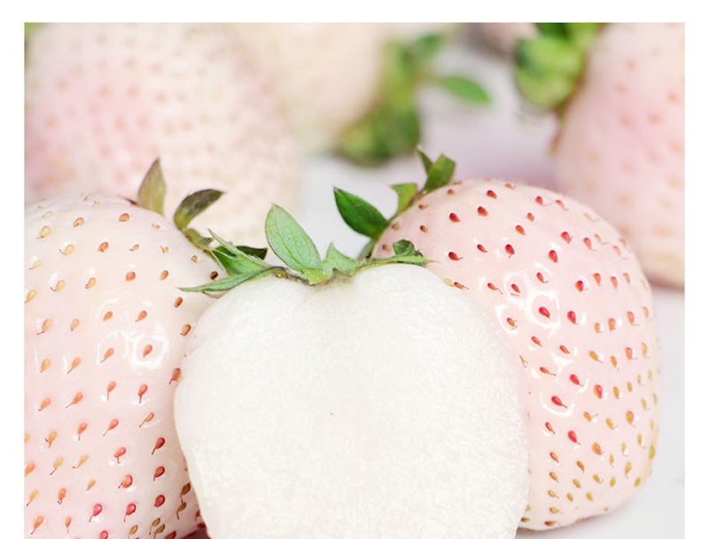 顺丰空运淡雪奶油白草莓新鲜水果生鲜精选大果2斤礼盒