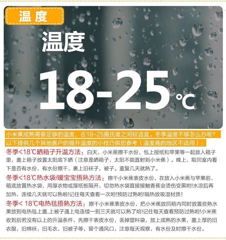 54175-广西小米蕉新鲜当季水果自然熟芭蕉水果 带箱10斤甄选-详情图
