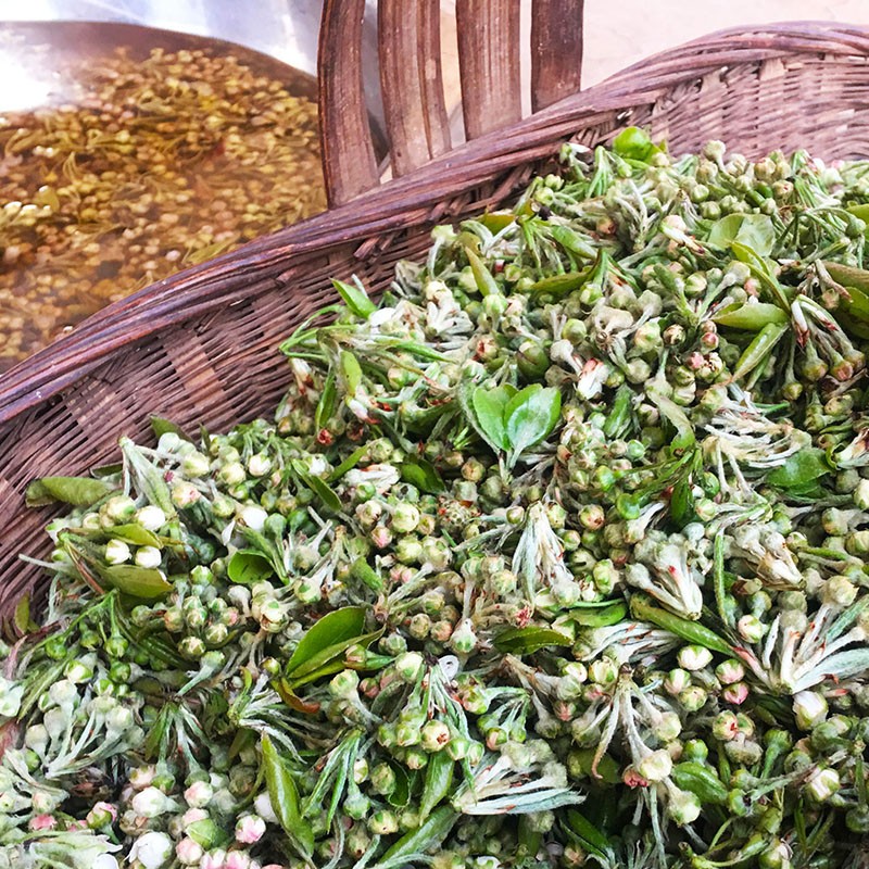 棠梨花 云南蔬菜野菜新鲜棠梨花 500g 可吃花食用花 现在发货都是用水