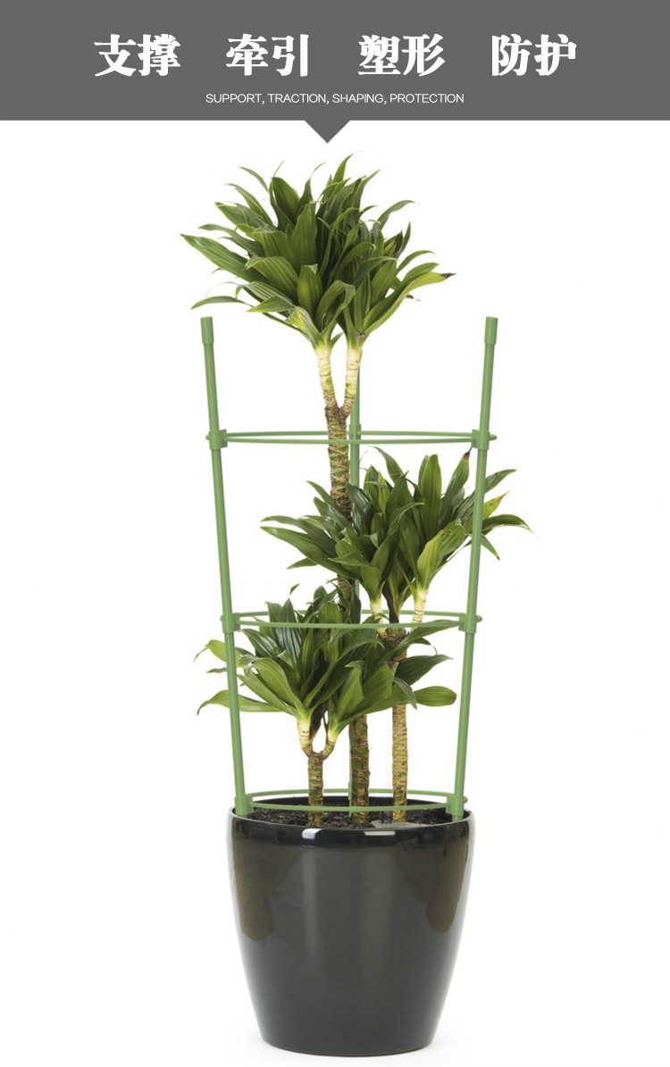 居爬藤架花架子花支架月季植物室内护叶架花卉支撑杆园艺铁线莲爬藤