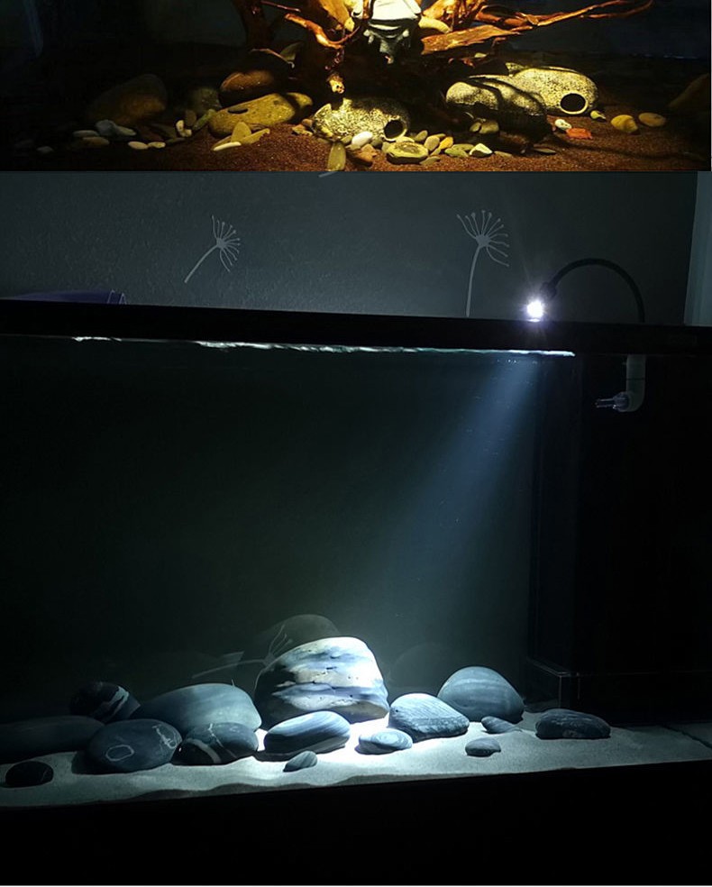 鱼缸射灯南美缸造景led夹灯专用水族灯三湖观赏原生缸水草缸海缸鱼缸