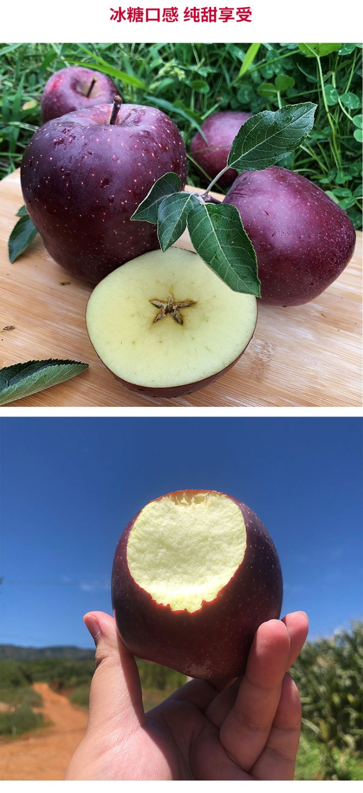 黑卡苹果当季现摘黑钻苹果水果新鲜网红黑苹果礼盒装3斤装