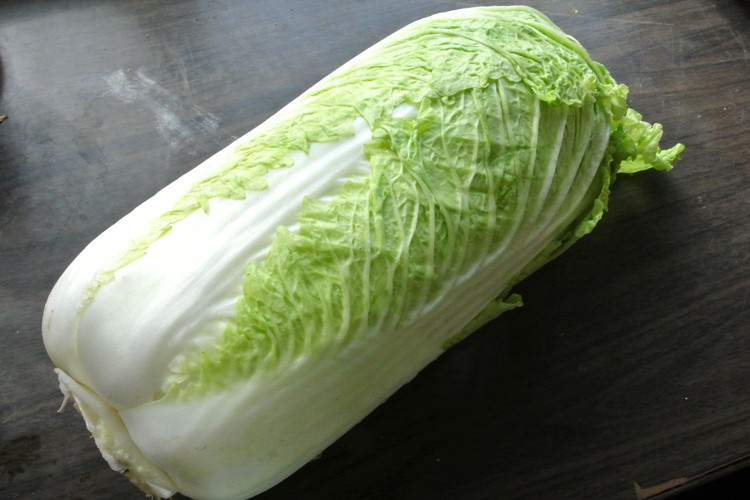 东北大白菜新鲜蔬菜整棵农家小白菜腌酸菜大叶包饭青菜 2000g