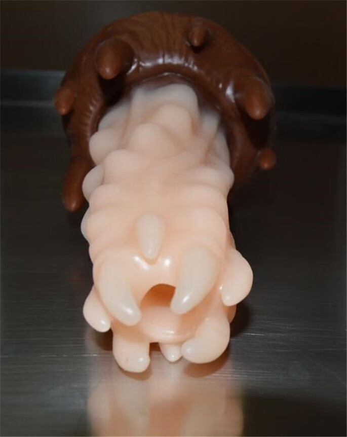 美国进口外星生物小号软硅胶中空肛塞产卵器男女后肛进入 可定制