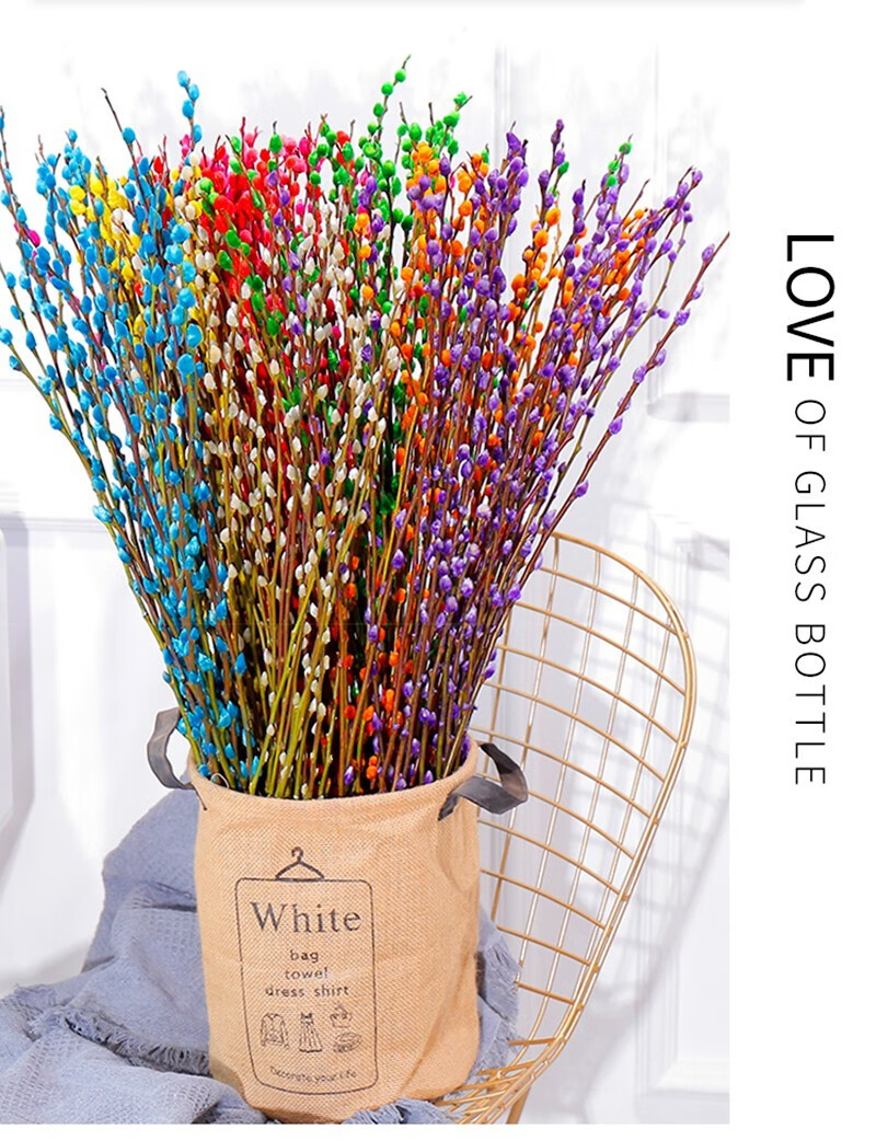 年宵花卉 银柳干花银柳花真花新枝七彩干花盆栽花卉水培植物花卉客厅