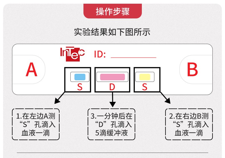 英科新创 abo血型正定型试剂盒固相法血型检测卡血型检测试纸查验血型