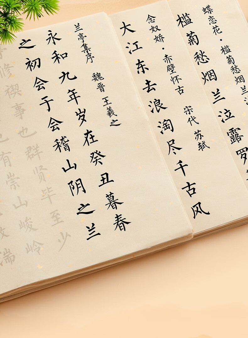 六品堂簪花小楷练字毛笔字帖入门临摹套装心经抄写本手抄本字帖软笔