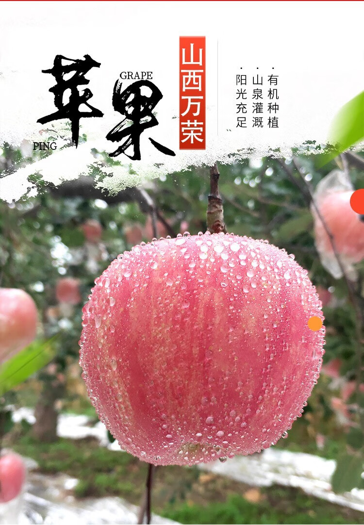 万荣雪果10斤20斤正宗山西运城万荣冰糖心苹果新鲜生鲜水果20斤精品果