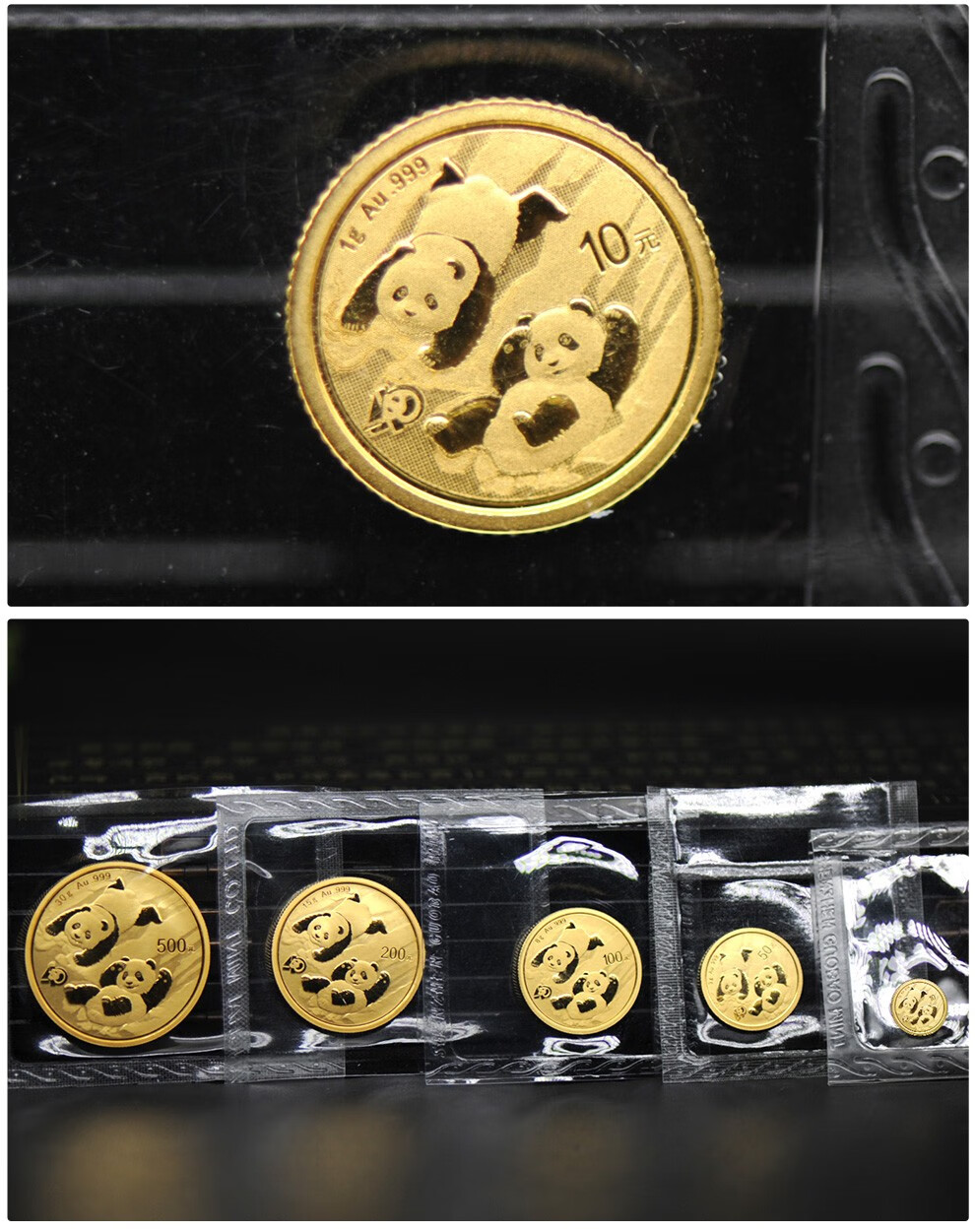 中钱中国金币2022年熊猫金币30克金猫