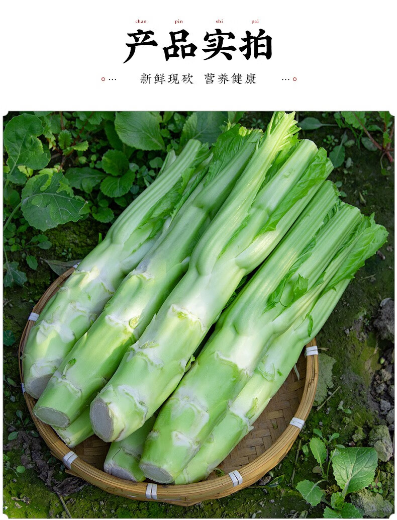 现砍现发38斤装四川农家特产棒棒菜新鲜蔬菜现砍特大棒菜炒腊肉芥菜头