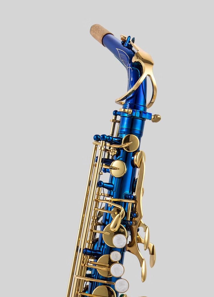 鹦鹉parrot中音萨克斯降e调高音降b调萨克斯风初学成人演奏考级 电泳