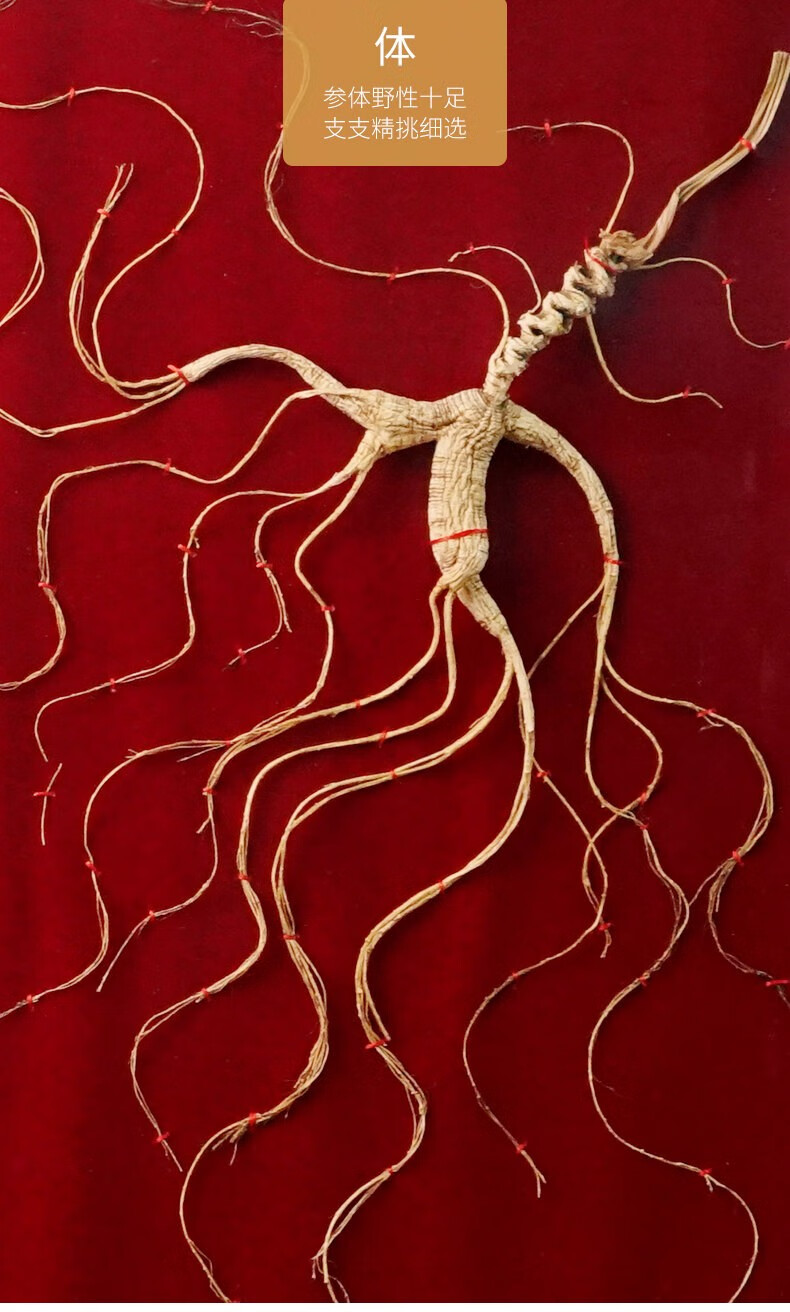 涌益堂野山参礼盒长白山人参8年以上30年林下参国检证书健康礼盒泡酒