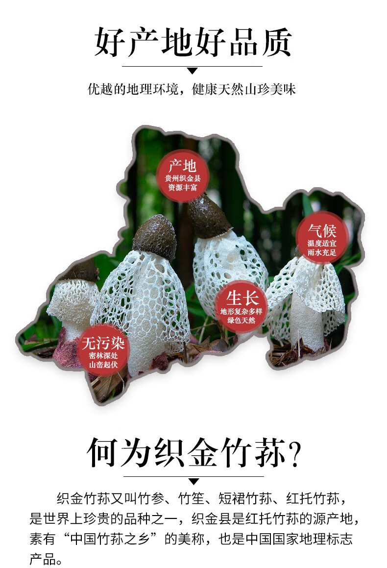 菌益新鲜竹荪花500g竹荪花精选贵州织金鲜竹笙红托竹荪菌肉厚鲜美