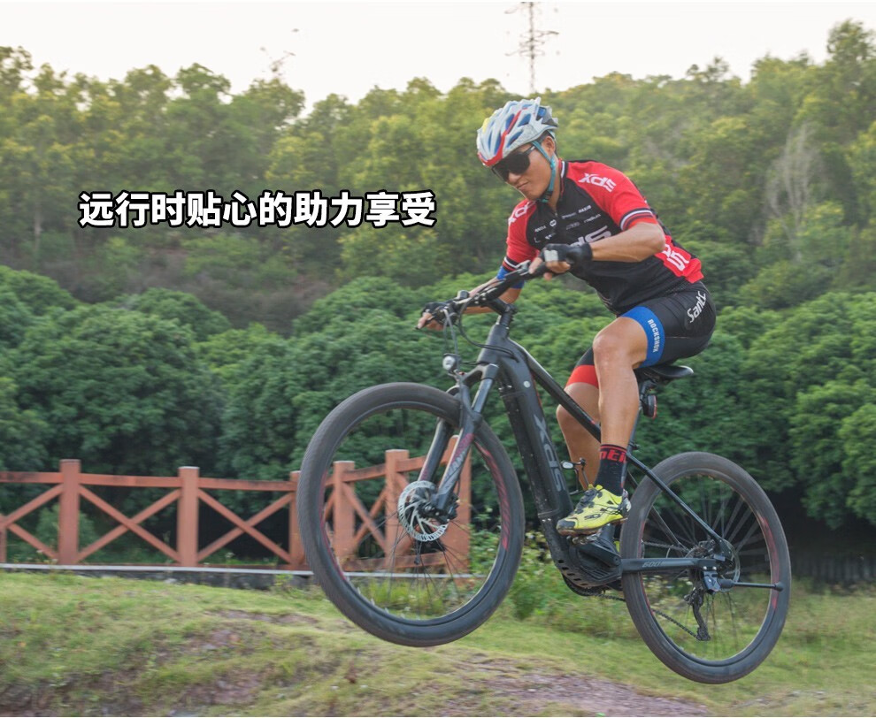 喜德盛电动自行车助力车领先600pro运动型电助力越野锂电力矩传感登山