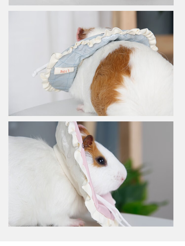 吉仔仔小宠伊丽莎白圈仓鼠蜜袋鼯防抓防护圈荷兰猪防咬护理圈蓝色l脖