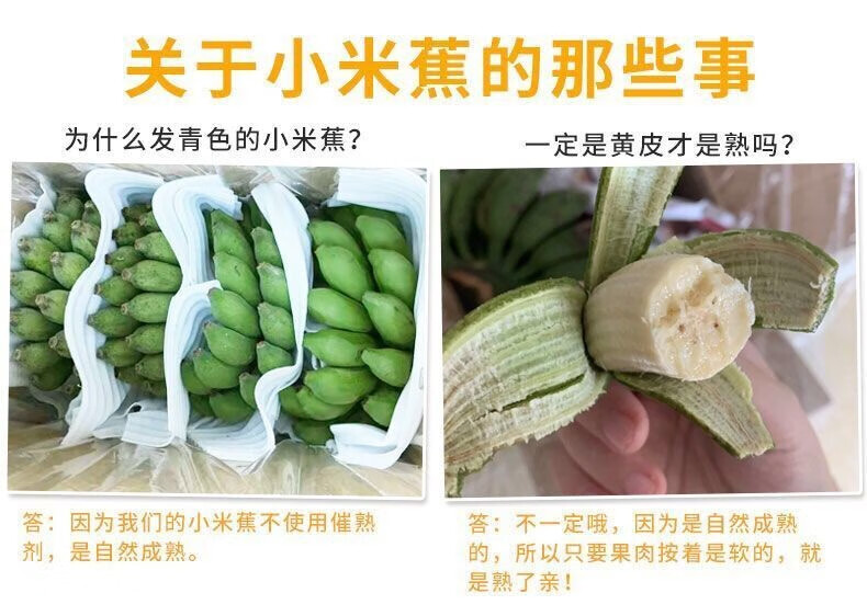 54175-广西小米蕉新鲜当季水果自然熟芭蕉水果 带箱10斤甄选-详情图