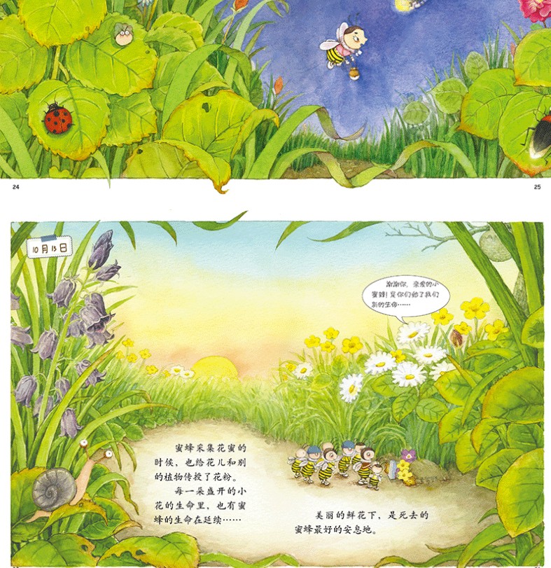 我的日记系列蜜蜂的日记精装幼儿童绘本故事书