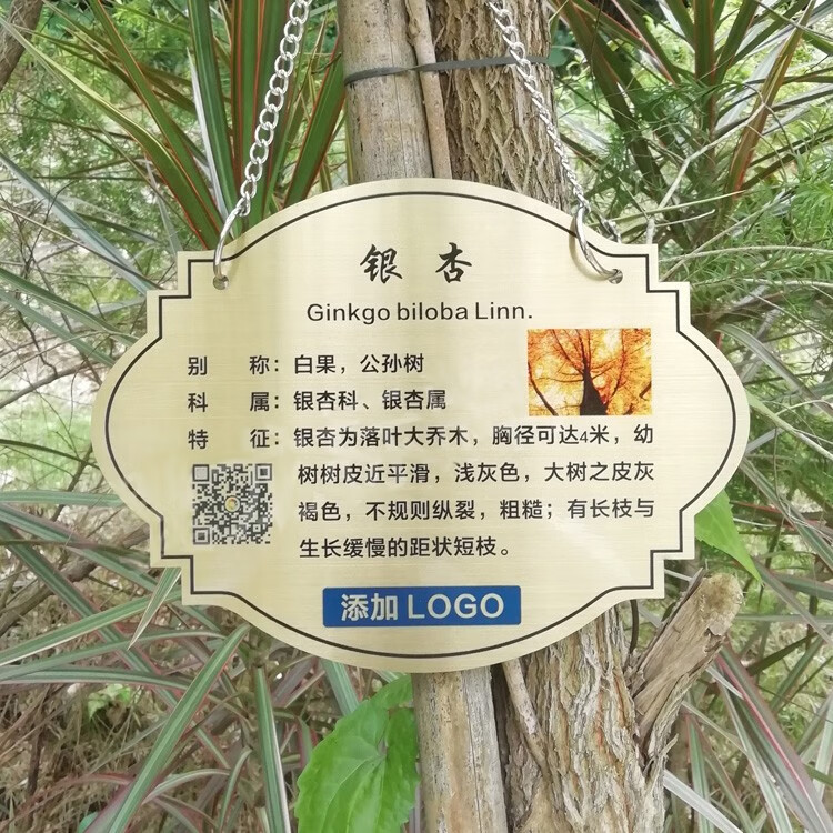 花草牌不锈钢树牌植物绿化标识木纹悬挂广告树木介绍金属挂牌定制