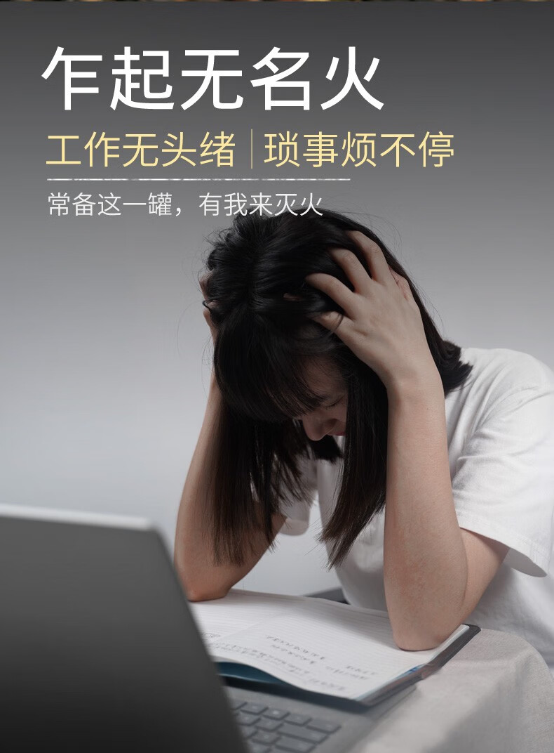 长白工坊蒲公英茶婆婆丁长白山蒲公英浦公英茶70g