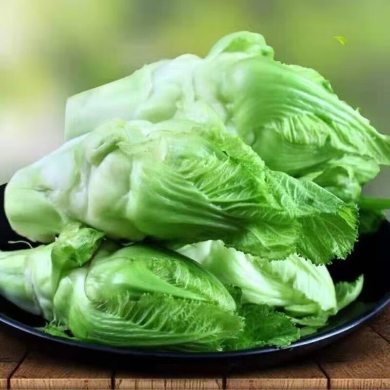 儿菜四川新鲜抱儿菜农家自种娃娃菜绿色现摘现发蔬菜腌菜泡菜一斤试吃