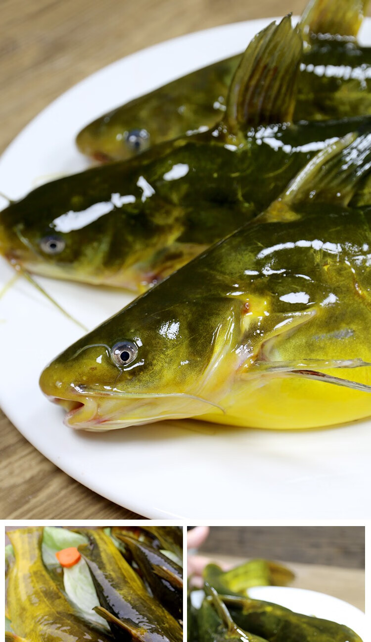 密农人家生态养殖嘎鱼黄辣丁黄骨鱼野生鲜鱼冰鲜发货1kg新鲜