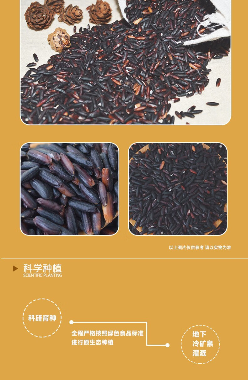 龙紫晶紫米广西桂林全州瑶王贡米礼盒装粘米类月子新