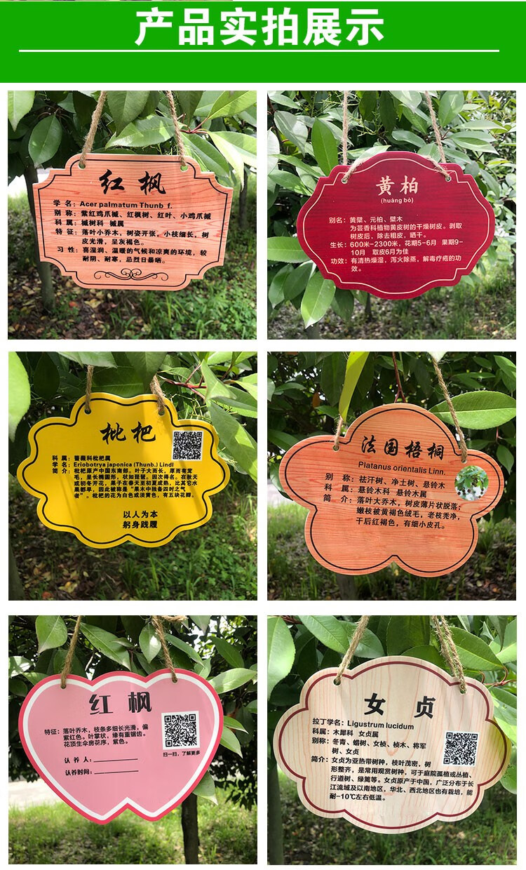 亚克力花草悬挂树牌定制植物标识牌绿化树木介绍挂牌园林指示牌 30cmx