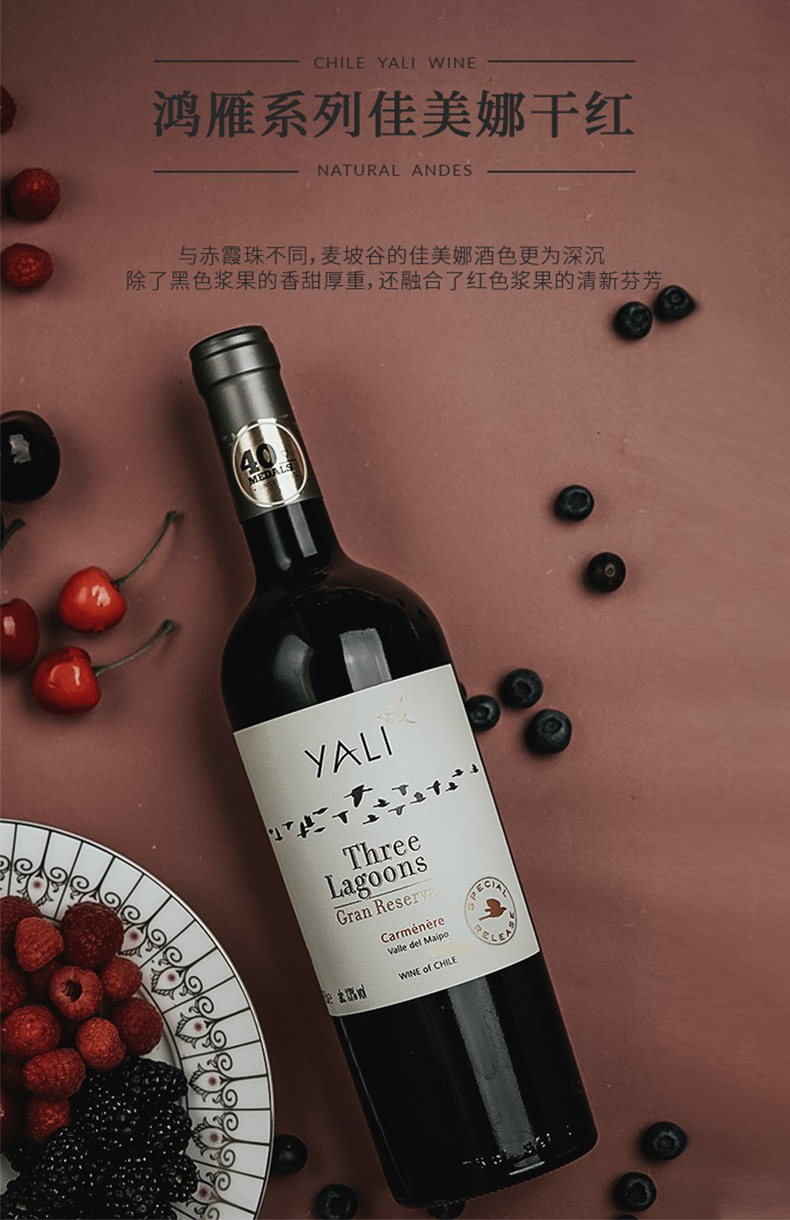 佳沃醇美汇酒庄直供干红葡萄酒 安第斯之翼赤霞珠 礼盒整箱750ml*6