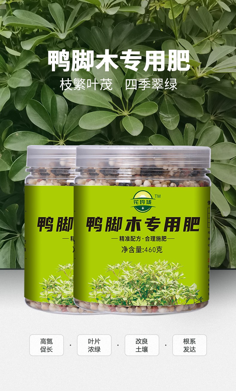 花玲珑鸭脚木专用肥料天然有机花卉植物盆栽黄叶复合肥长效缓释肥鸭脚