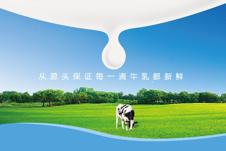 光明鲜牛奶高温杀菌乳新鲜牧场高品质儿童孕妇老人早餐鲜奶生牛乳学生