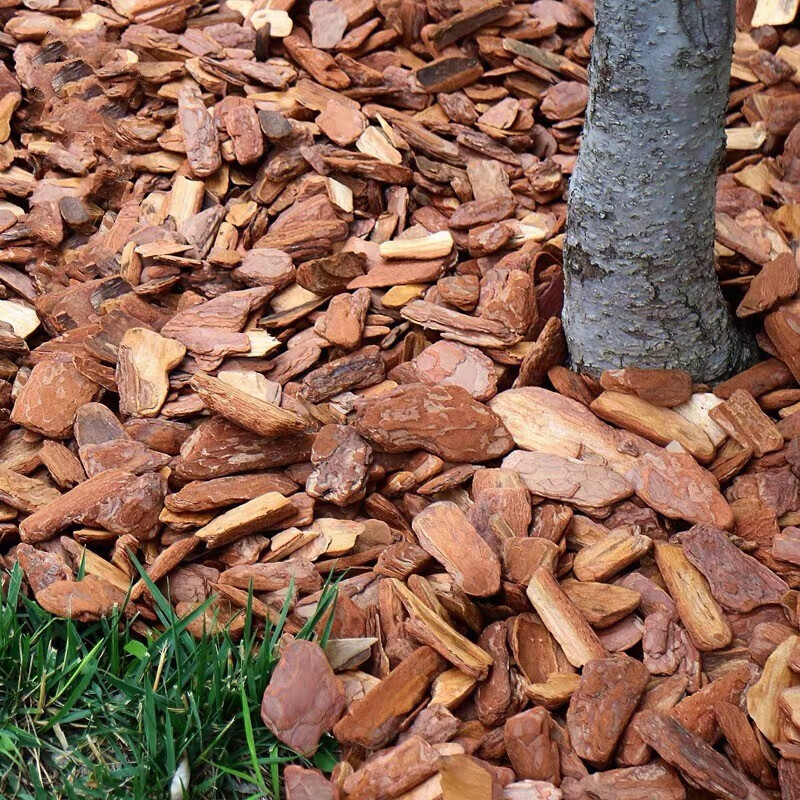 打磨松树皮松鳞树皮有机覆盖树皮铺面树穴覆盖物松树皮有机覆盖物抛光
