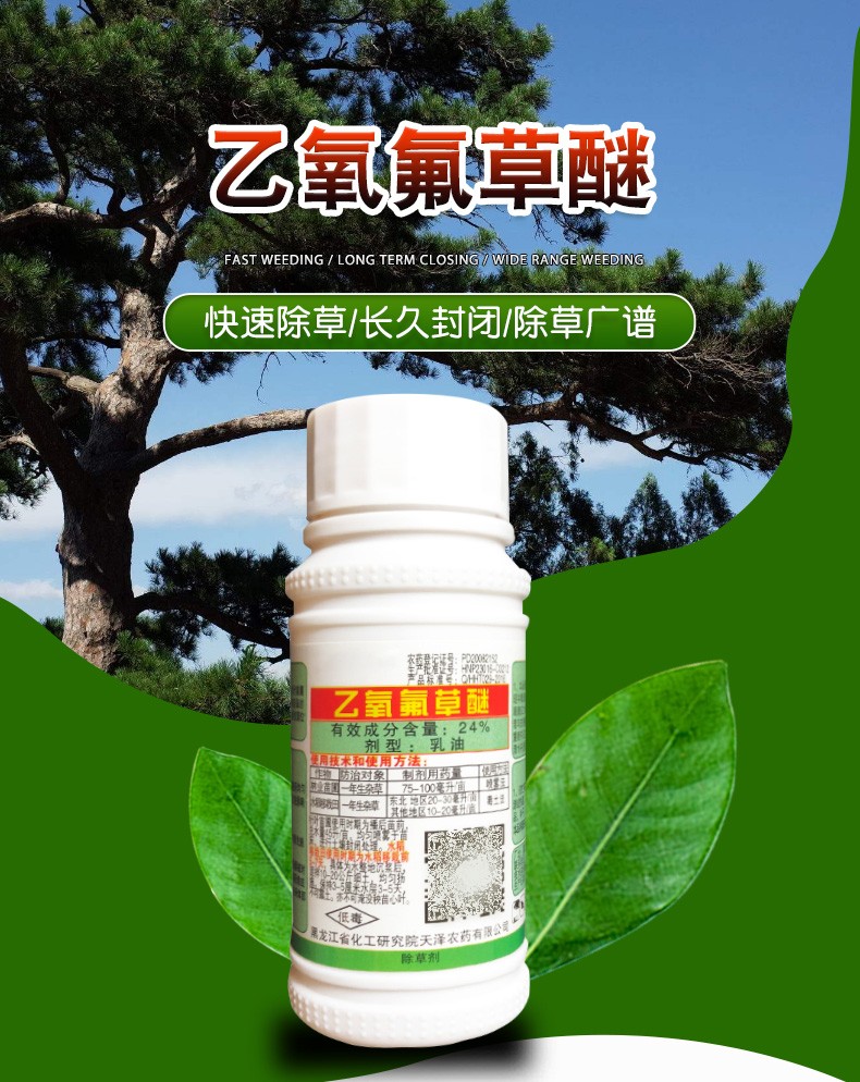 瀚沃 林用惠尔 24%乙氧氟草醚针叶苗圃油松白皮松云杉松树地专用除草