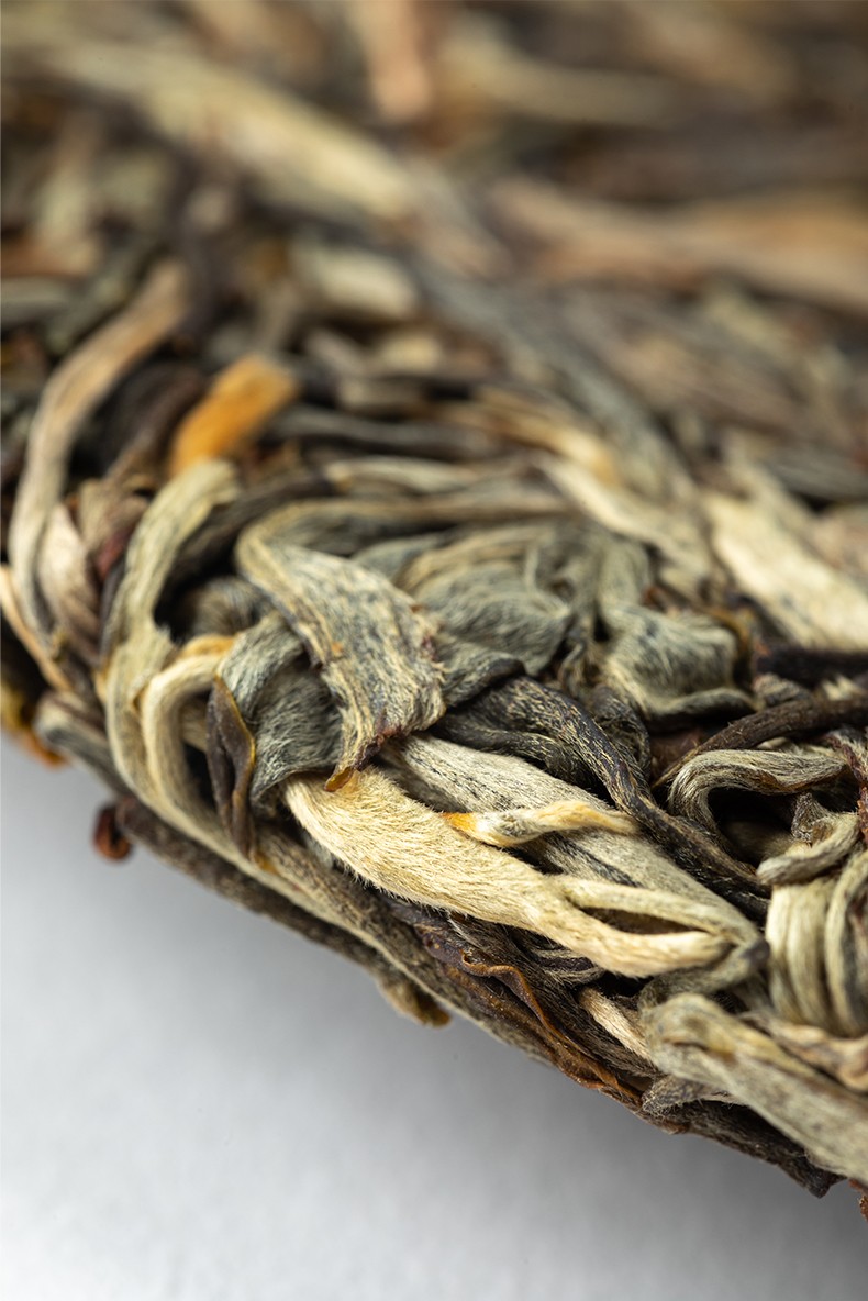 雨林古树茶普洱生茶饼2021年春融357g