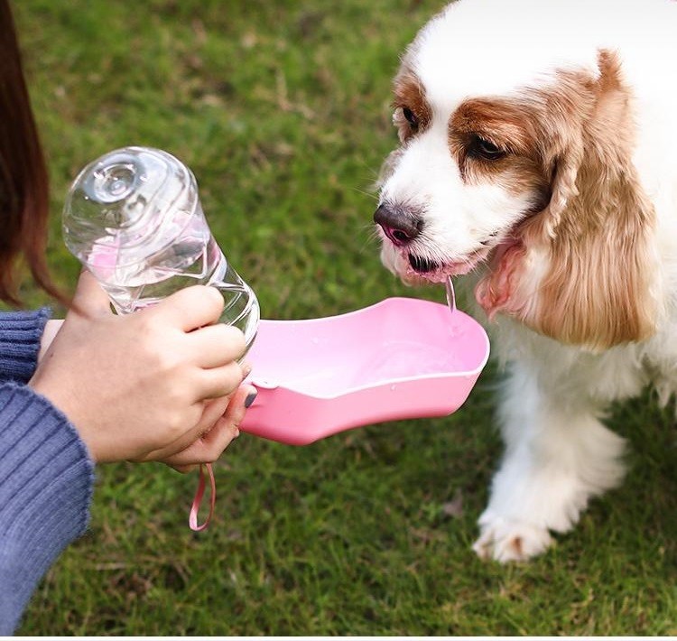 狗狗户外水杯宠物用品随行杯喂水器狗狗喝水器外出水壶便携泰迪小号紫