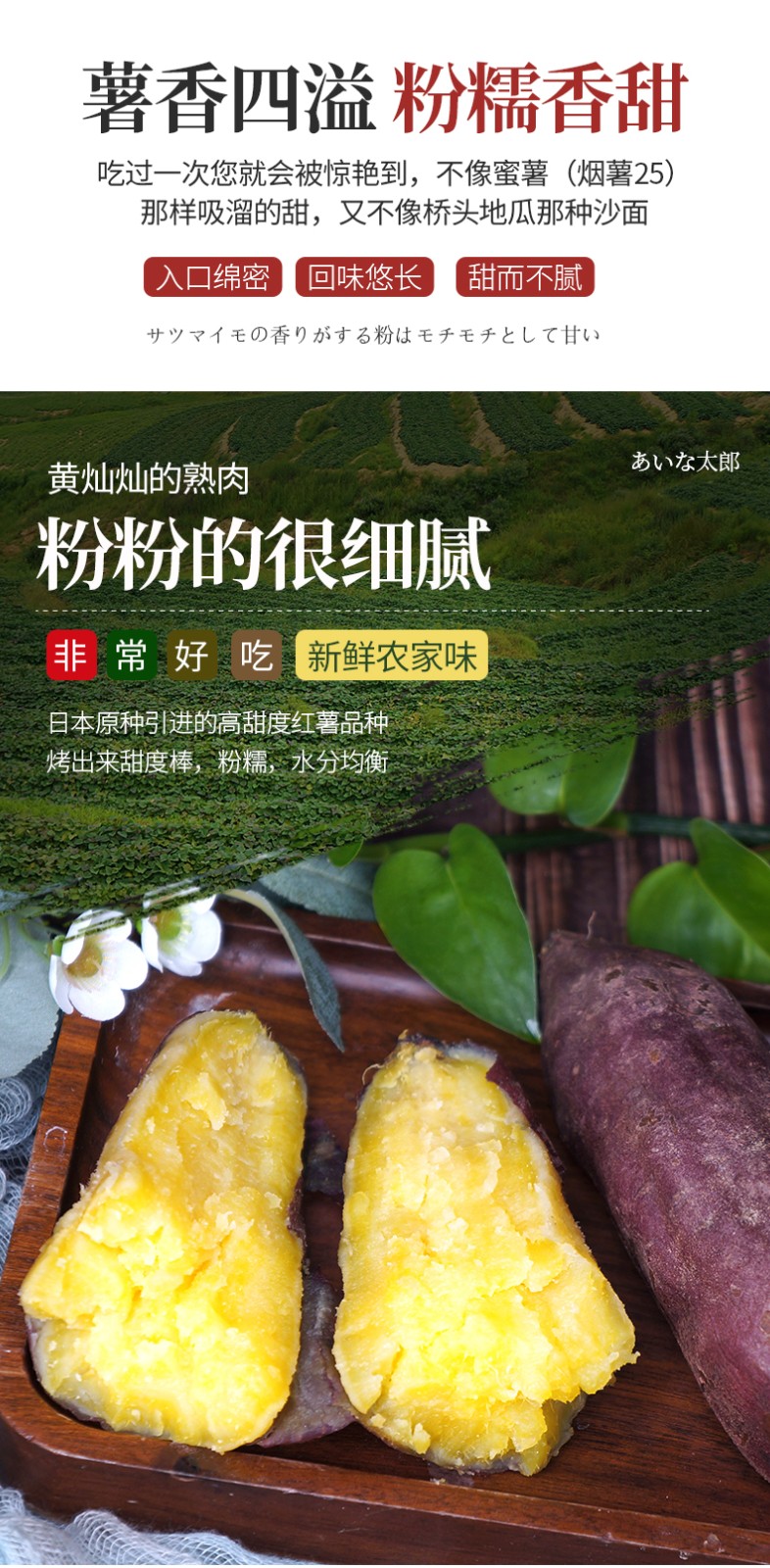 精选中果日本高端红薯品种红瑶蜜薯糖心烤地瓜红薯新鲜蜜薯冰薯甜润流