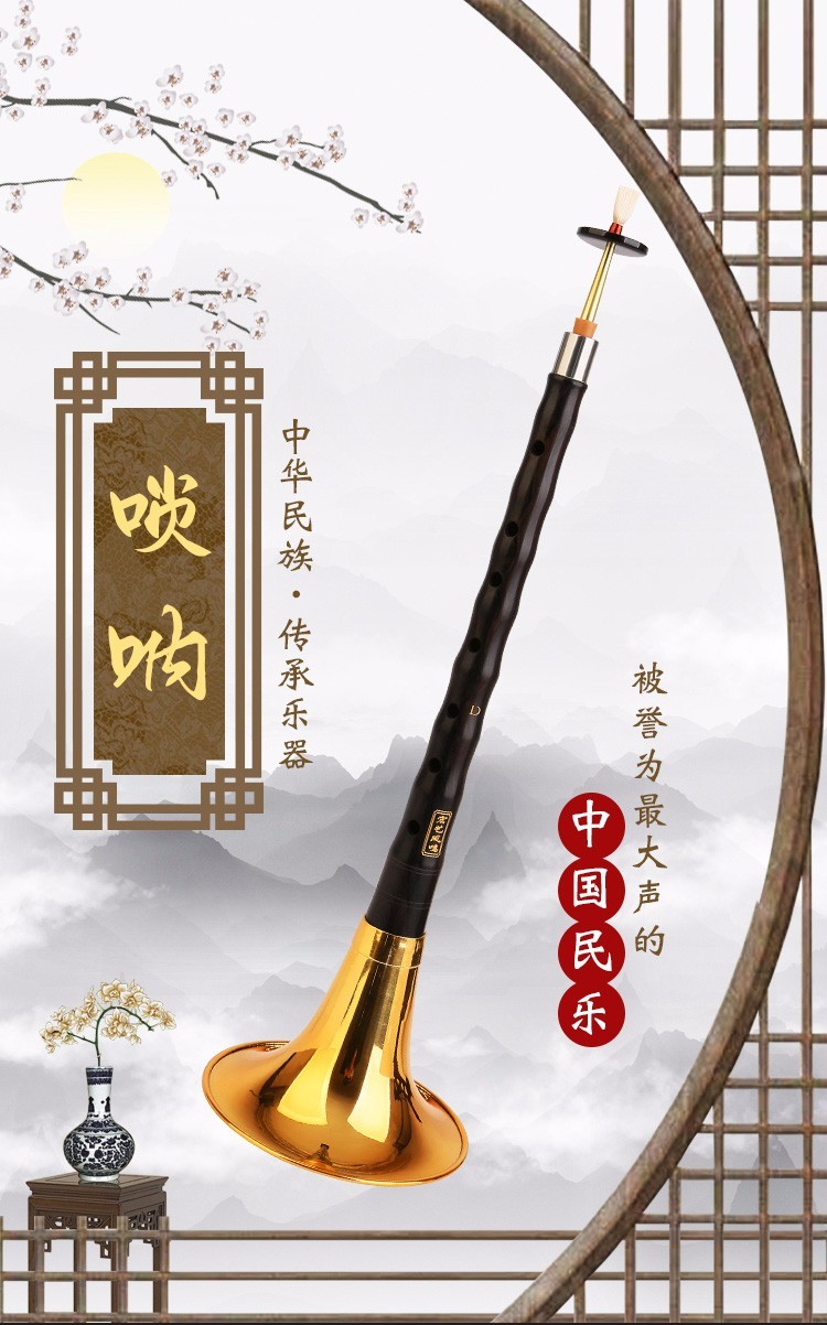 初学者唢呐乐器全套d调唢呐碗口老式专业演奏红木乌木黑檀木红木d调黄