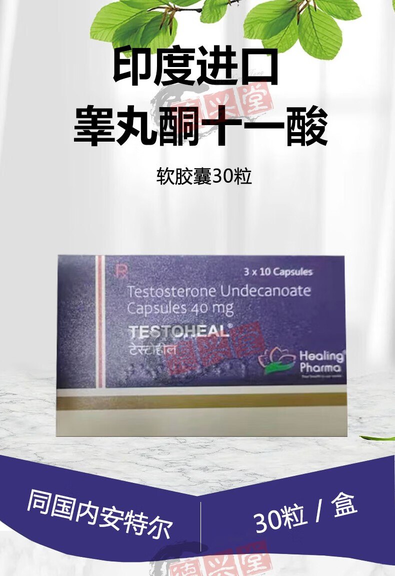 印度进口 睾丸酮十一酸睾酮软胶囊 11 促睾酮素二次提高 男士雄性激素