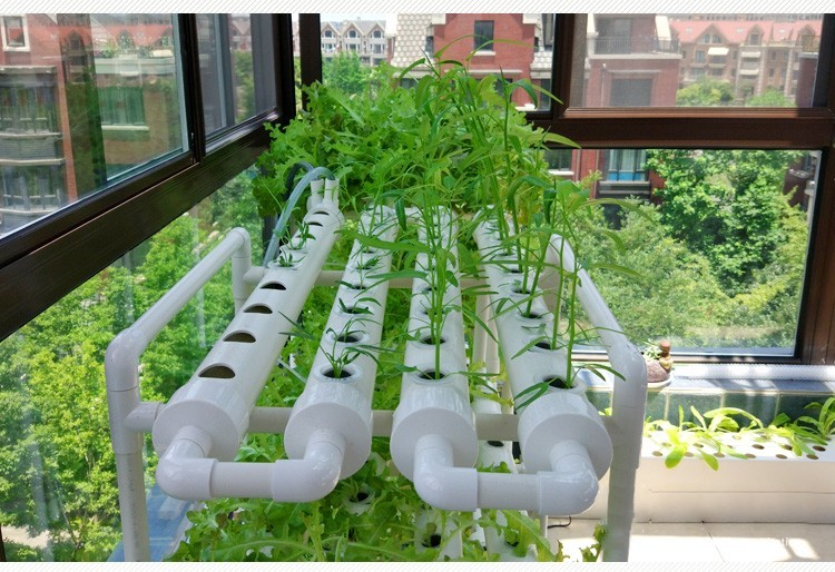 阳台无土栽培蔬菜种植机水培设备家用种菜神器室内家庭水耕种植机2层8