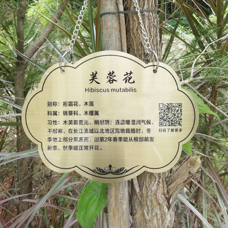 花草牌不锈钢树牌植物绿化标识木纹悬挂广告树木介绍金属挂牌定制