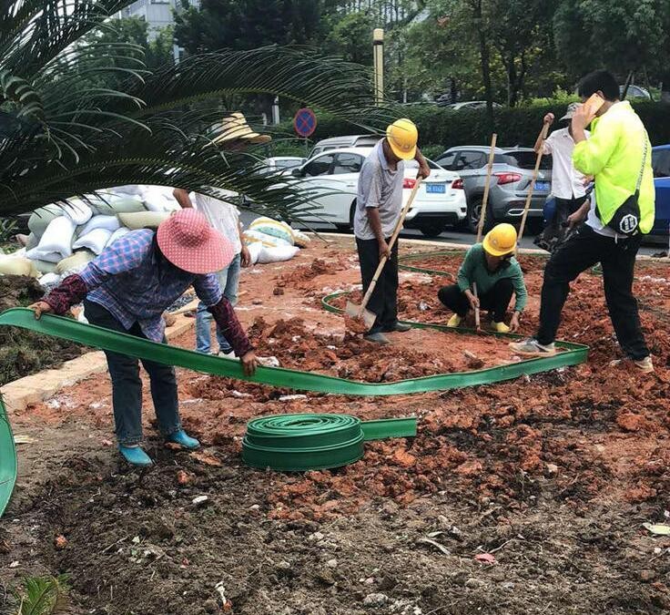 园林绿化草石隔离带花草分隔带隔根板挡土板隔根层花园草坪隔草带