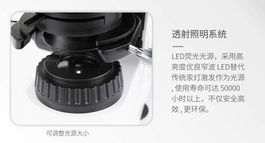 2e35cf55095ebf9d.gif