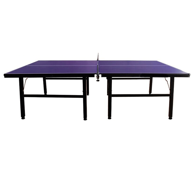 泰瑞格家用可折叠式标准室内乒乓球桌案子带轮比赛专用兵乒乓球台16mm