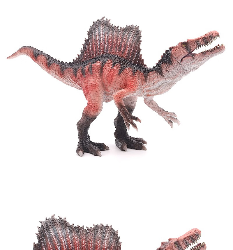 侏罗纪仿真埃及棘龙模型脊龙摩洛哥棘背龙玩具恐龙动物礼物高棘龙 扶