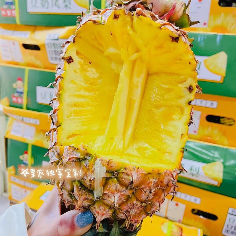 豆奶凤梨单果25斤应季水果甜菠萝新鲜孕妇水果1个装