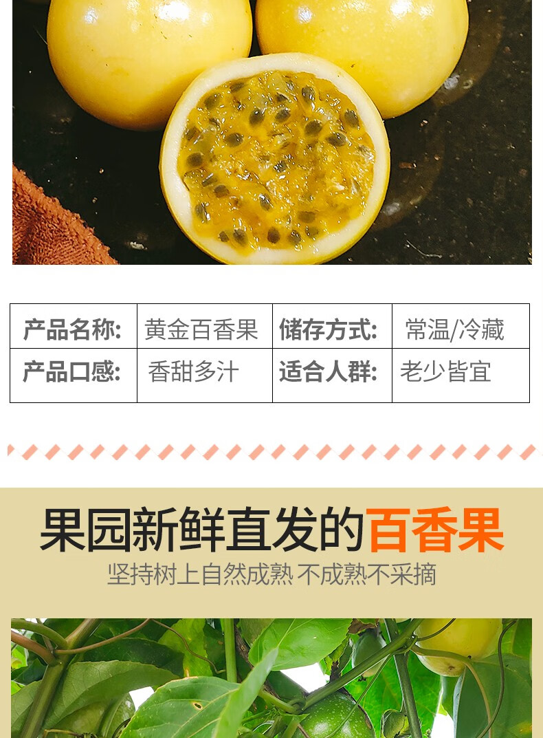 新鲜当季水果纯甜黄皮黄金果 4颗装【精选优果】【图片 价格 品牌