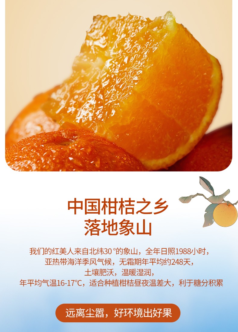 宁波江北馆正宗象山柑橘红美人5斤礼盒装橘子桔子爱媛