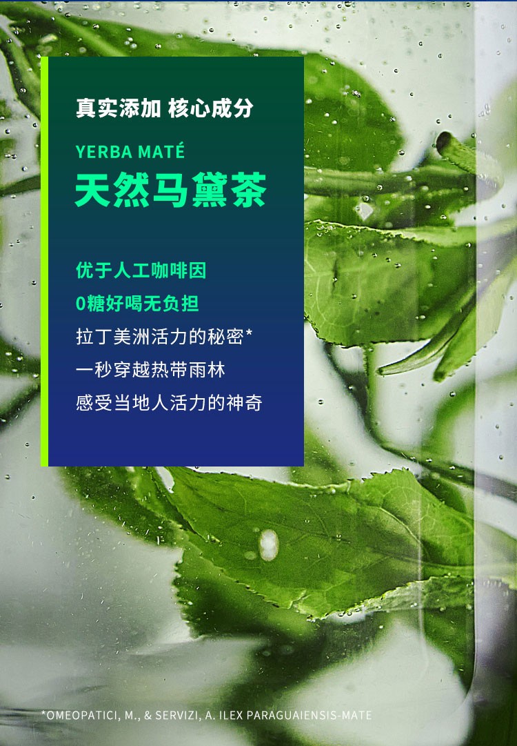外星人 能量饮料350ml*12瓶 元气整箱装 马黛茶味运动饮料 350ml*12
