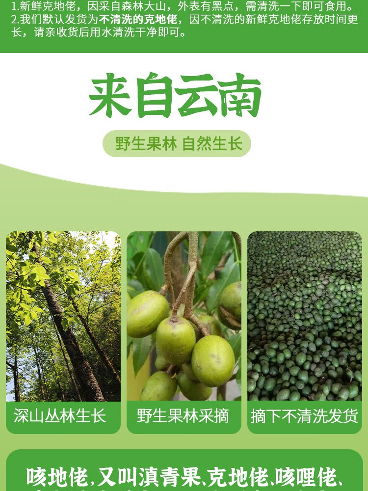恬女神云南特产新鲜克地佬滇青果咳地佬泡酒新鲜应季水果500g